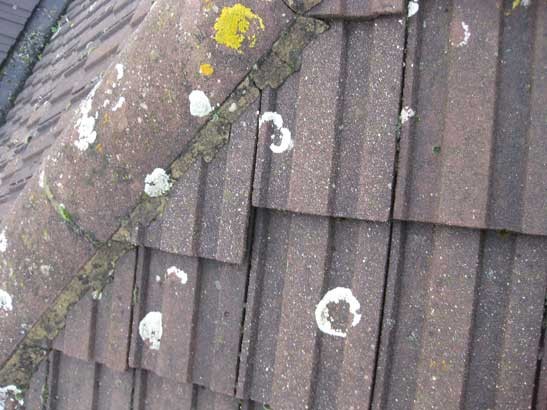 Gallery | Stevens Roofing Ltd | Biggleswade