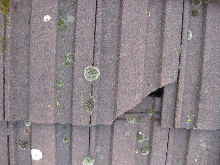 Gallery | Stevens Roofing Ltd | Biggleswade
